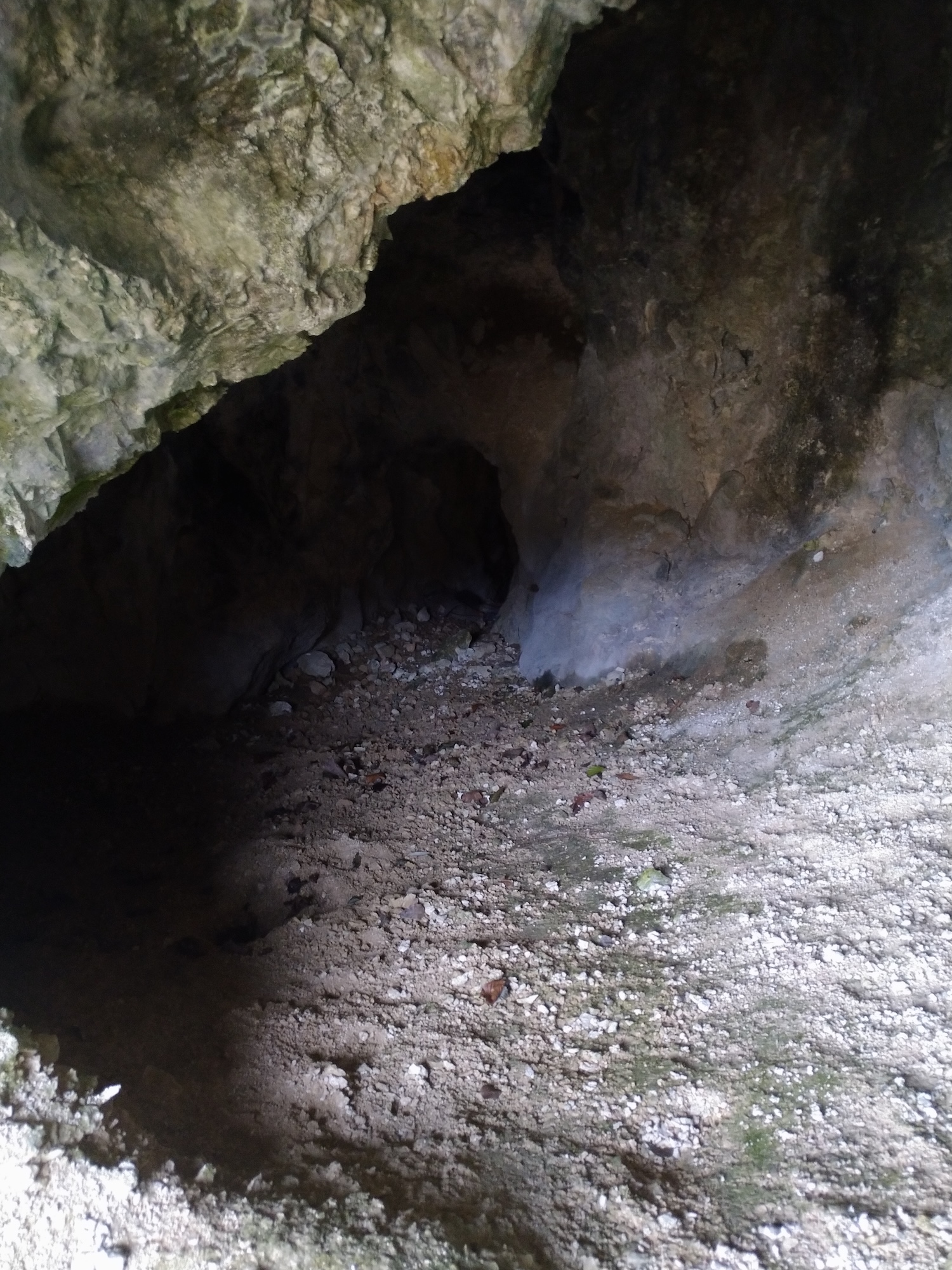 Peştera nr.1 din Valea Poneasca - Image 3